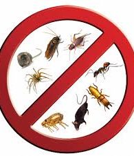 مكافحة حشرات بالرياض